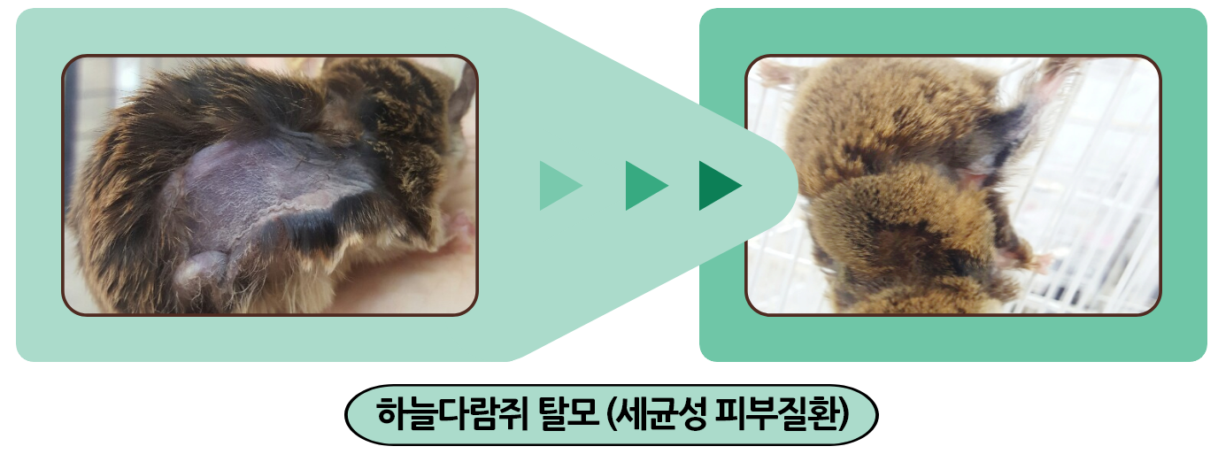 루메딕은 추가비용이 없습니다