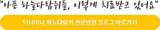 닥터미니블로그바로가기